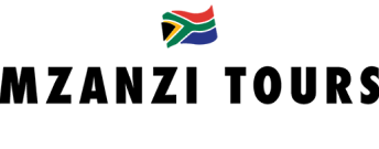 mzanzi logo